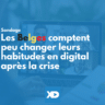 Comparés aux autres, le Belge compte peu changer ses habitudes en digital après la crise (sondage)