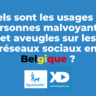 Quels sont les usages des personnes malvoyantes et aveugles sur les réseaux sociaux en Belgique ?