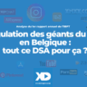 Régulation des géants du web en Belgique : tout ce DSA pour ça ?