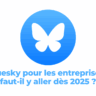 Bluesky pour les entreprises : faut-il y aller dès 2025 ?