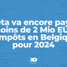 Meta va encore payer moins de 2 Mio EUR d'impôts en Belgique pour 2024