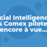 Social Intelligence : les Comex pilotent encore à vue...