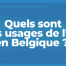 Quels sont les usages de l’IA en Belgique ? (étude octobre 2026)